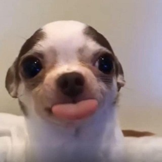 _hangnguyen102_