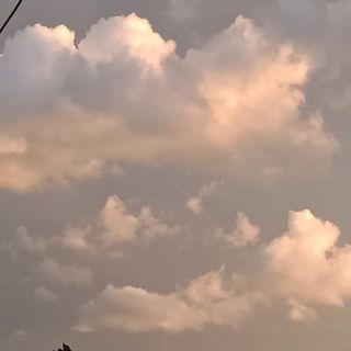 ynnyn349