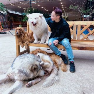 hoangcongkhoi1999