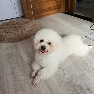 t_huyen.12