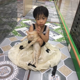 thanhtq12345