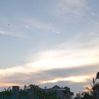 _vthanh.10_
