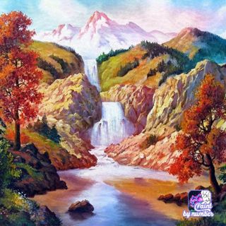 nhnphan117
