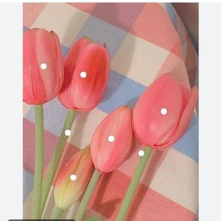 thachchuangot_shop39