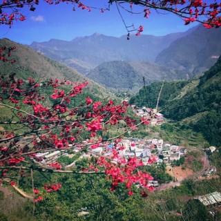 nguyenphuongly23911196