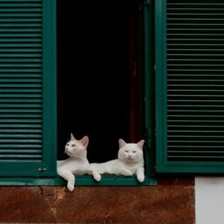 _hoai73_