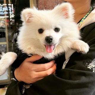 thanhthanh2712