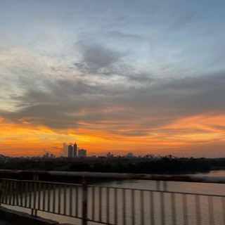 potato_394