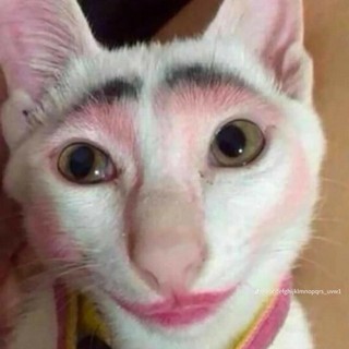 hoangthienxd