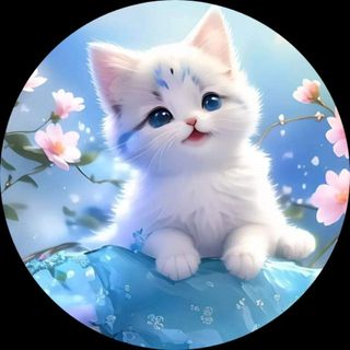 thanhthanh_9979