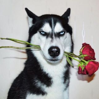 krthydclk1