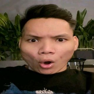 lethanhpham123