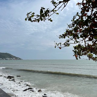 ntrinh2607