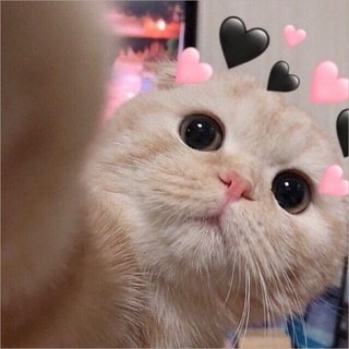 quynhnhat1705