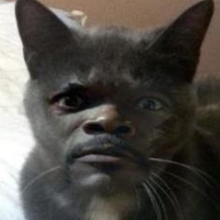 hzbgzyclh7
