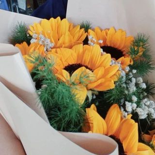 hththuw_