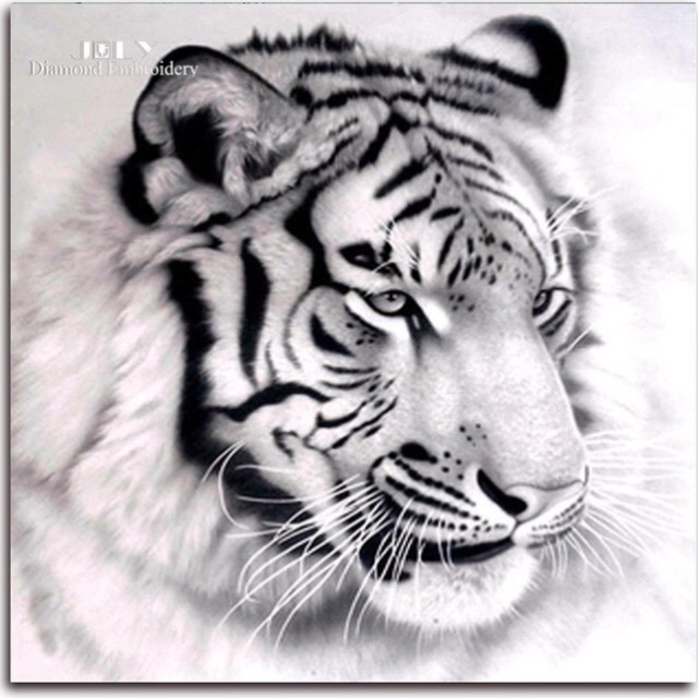 steeltiger74