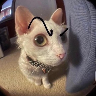 kieumiu1996