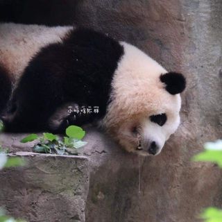 lo_oekvbx2
