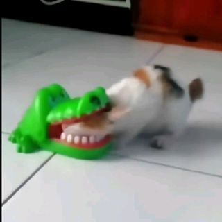 0vn1gmq3bv