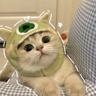 imtenf