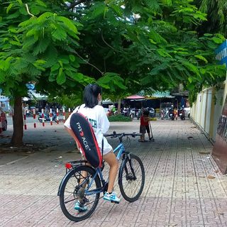 phonghang7383
