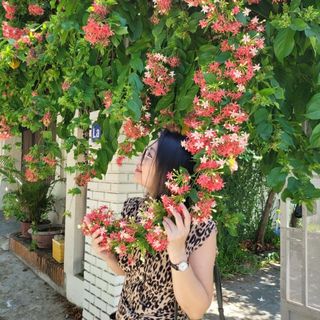 dinhhangkathy