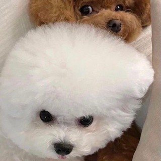 ohkhanh_huyen