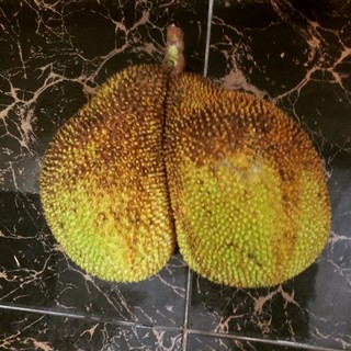tienmanh1368