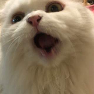 miimiihihi