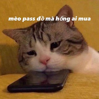 minhtemgg