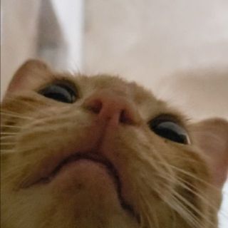 thanhhuong000