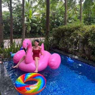 lannguyenn27