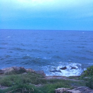 hong.nguyet