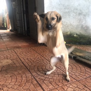 2uecwwcq2y