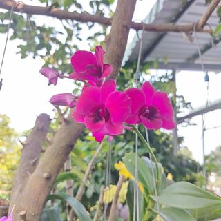 nguyenthanhhiep92