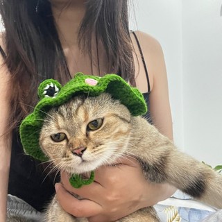 kimscarlett