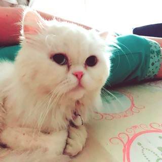 nguyenphuongdung79