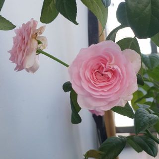 je.mint_07