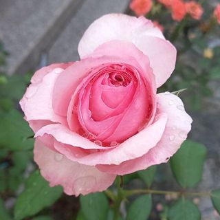 r5_ukxqk1j