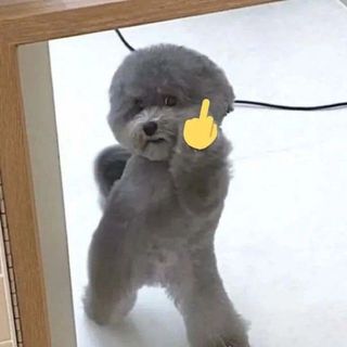 ngocnhu09