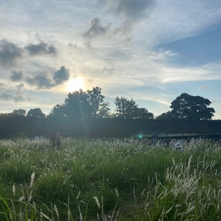 anhdai_2002
