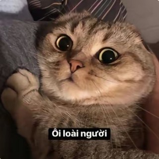 betii15082002