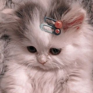 _thanhhuyen1610_