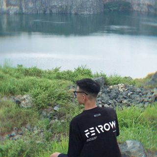 phamhoangan206
