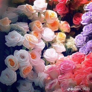 vannguyen_9177