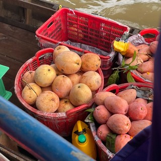 nguyenchi_jushi61kuoyty9e