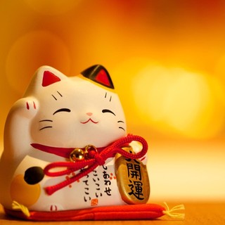 meomuoimuoi