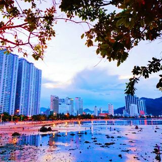 nhunguyeny27