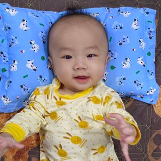 ngogiahan06012014